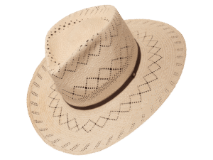 Outlander Panama Hat in Natural Toquilla Straw with Western Brim - Angle View | Superior Hats