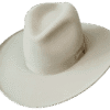 Trailblazer Western Felt Hat with Stylized Silhouette - Angle View | Superior Hats
